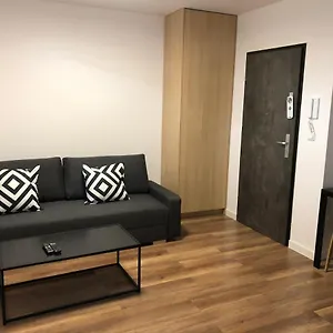 Platinex 6 Krakow