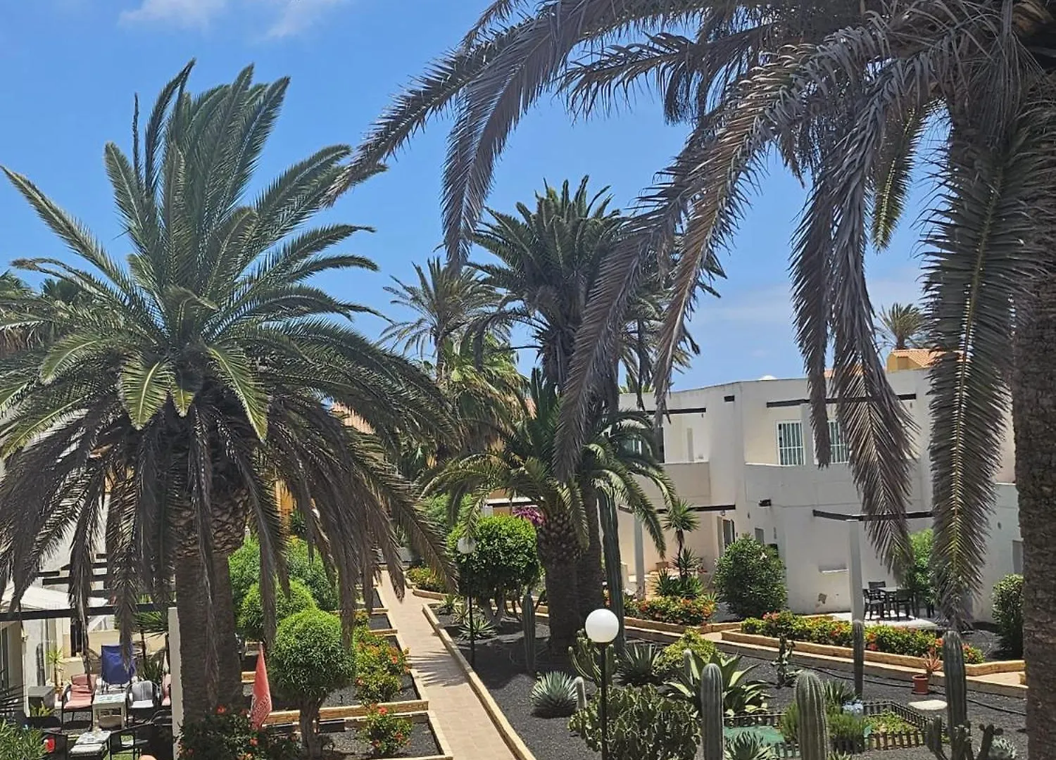 Alisios Playa Apartment Corralejo